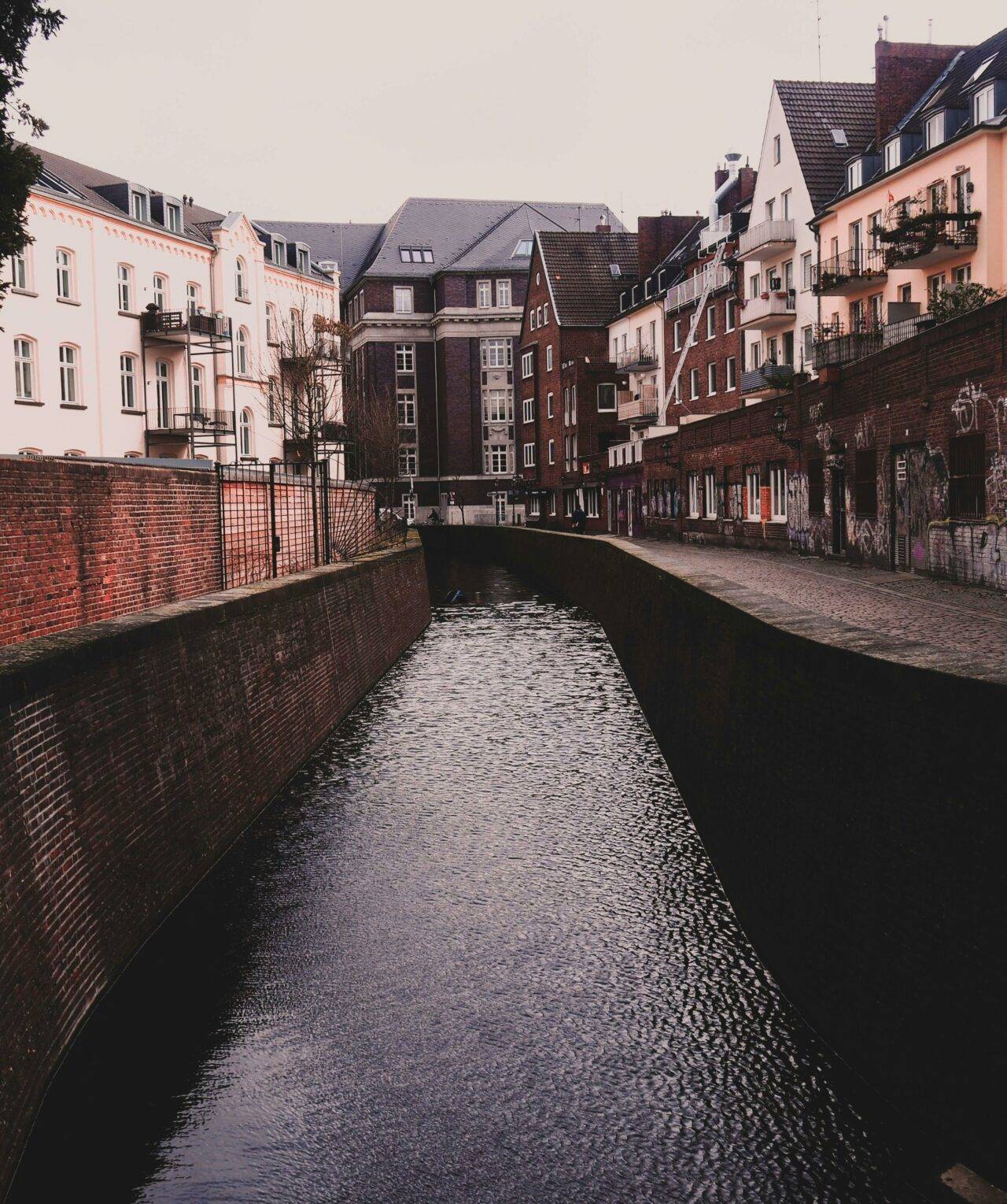 Zahnarzt | TopTeeth 🦷